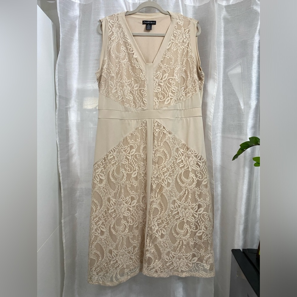 Sleeveless stretch lace overlay dress 2X